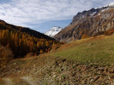 Saint Etienne de Tinee Auron : Demandols