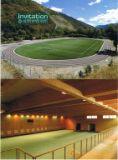 le gymnase et le stade de Saint Etienne, village sportif.