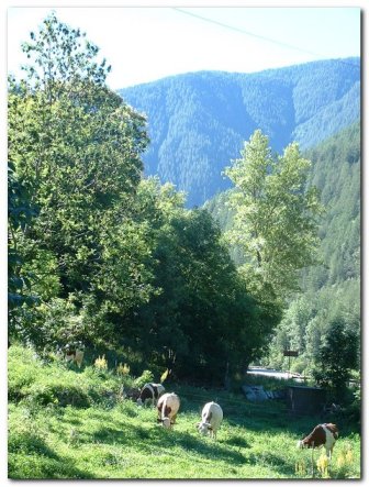 les environs de saint tienne de tine auron