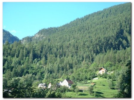 Aux environs de st tienne auron : le Pr du Loup